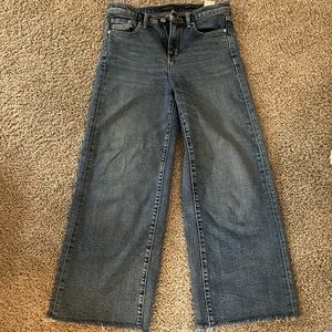 Banana Republic Wide Leg Jeans